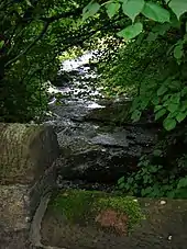 The Dusk Water running after the junction to the old mill race which took the water to the saw mill.