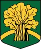 Coat of arms of Dzelzava Parish