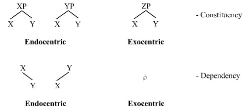 Endocentric and exocentric structures