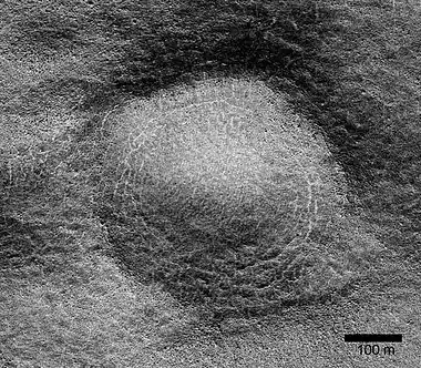 Close view of possible pingo with scale, as seen by HiRISE under HiWish program