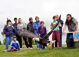 Eagle release part of a Migratory Bird Day event