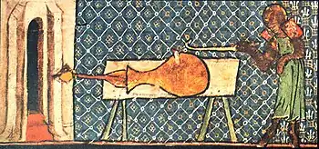 Oldest known European depiction of a firearm from De Nobilitatibus Sapientii Et Prudentiis Regum by Walter de Milemete (1326).