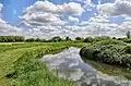 East Fen Common