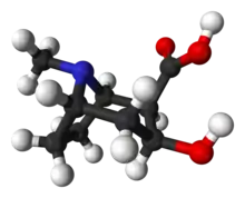 Ball-and-stick model of the ecgonine molecule