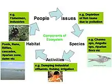 How to alter certain biological interactions in order to optimise survival of the system