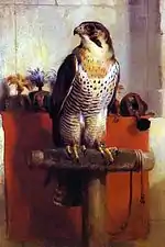 Falcon, 1837