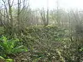 The ruins of Corsehill Lodge. Maggie's Well located nearby was the source of drinking water for this lodge.