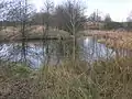 The Settling Pond near Cairnmount.