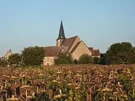 The church of Saint-Pierre, in Pouligny-Saint-Pierre