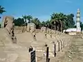 Alley of sphinxes protecting Luxor Temple.