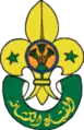 The Egyptian Boy Scout emblem incorporates the sacred blue lotus