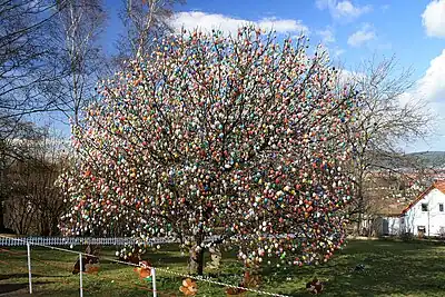 Saalfeld Easter egg tree with 9200 eggs, taken March 24, 2009