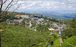 View of Elappara town from Kattappana - Kuttikkanam road