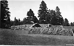 Black and white stone structure in front of trees