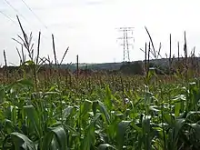 Powerlines stretch across the fields towards the site of the former Meaford Power Station.