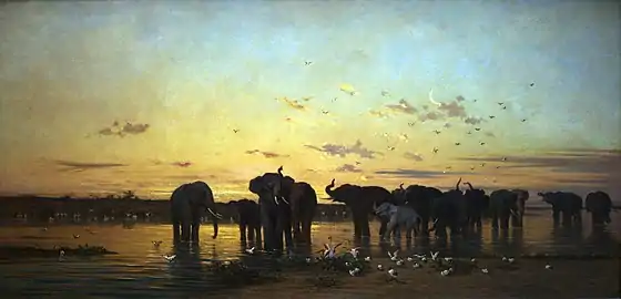 African Elelphants