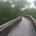 Elevated boardwalk