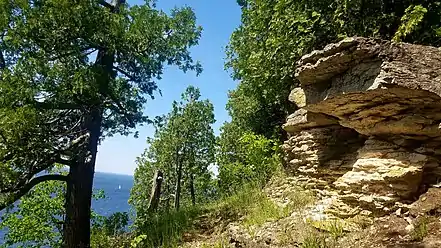 Rocky outcrop