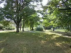 Well Hall Pleasaunce - Woodland Garden