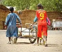 Children carrying Les éléphants dans la réserve faunique de Kalfou