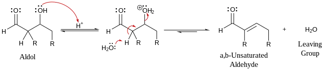 Mechanism for acid-catalyzed dehydration of an aldol