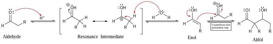 Mechanism for acid-catalyzed aldol reaction of an aldehyde with itself