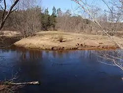 Bend in the Ahja River in the Eoste Conservation Area