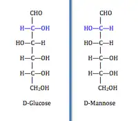 projection of D-glucose and D-mannose