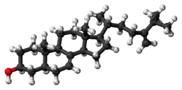 Ball-and-stick model of episterol