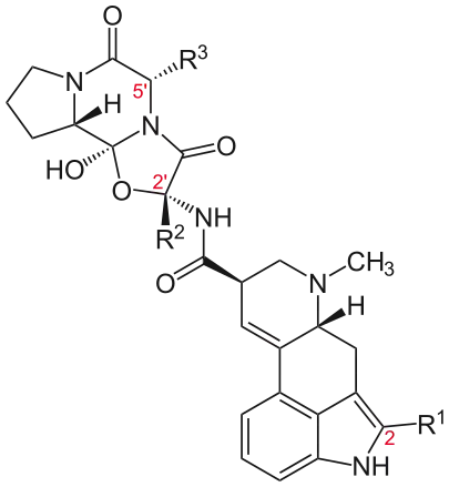 Ergopeptides (structural formula)