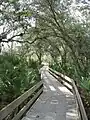 Boardwalk at Erna Nixon Park