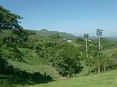 Escambray near Hanabanilla lake in Villa Clara Province