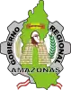 Official seal of Department of Amazonas