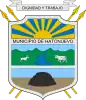 Official seal of Hatonuevo