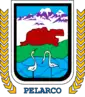 Coat of arms of Pelarco