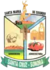 Official seal of Santa Cruz Municipality