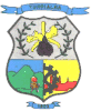 Official seal of Turrialba