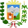 Coat of arms of Puquina