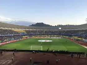 Estadio Ester Roa