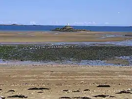 Plage du moulin