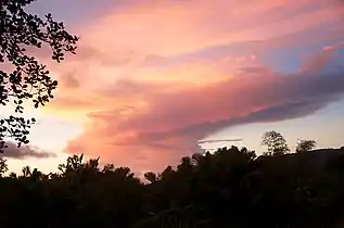 Evening at El Yunque