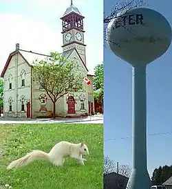 Top left: Exeter's town hall constructed in 1887, Right: Exeter's water tower, Bottom left: An Exeter, Ontario White Squirrel