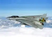 F-14 Tomcat - twin-engine, two-seat, swing-wing fighter