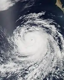 Satellite image of Hurricane Fabio peaking at Category 2 intensity on July 3