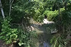 Fall Creek, seen from the Illinois Route 57 bridge