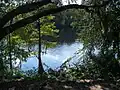 Suwannee River from the park