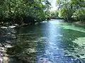 Stream from the springs feeding the Suwannee River