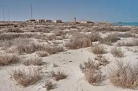 Far view of ruins at Al Khuwayr.