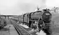 Farington Station remains, view northward 1959,