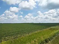 Farmland in Weaver Township near Pioneer